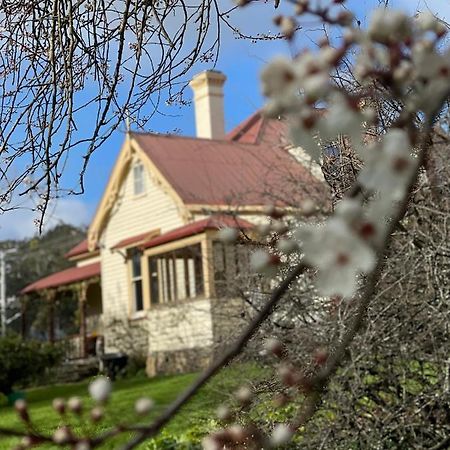 ケンブリッジ ハウス B&B Geeveston エクステリア 写真