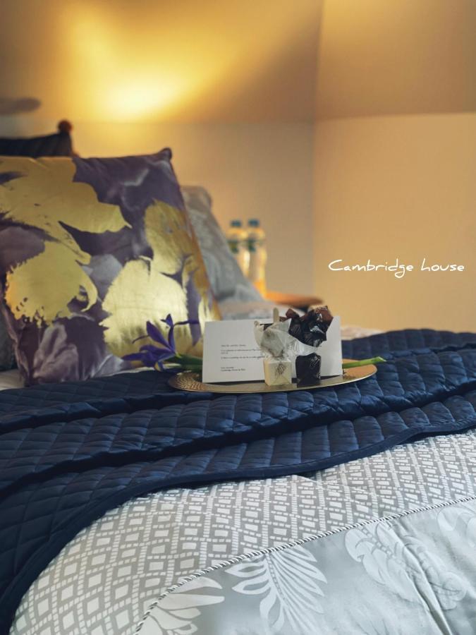 ケンブリッジ ハウス B&B Geeveston エクステリア 写真