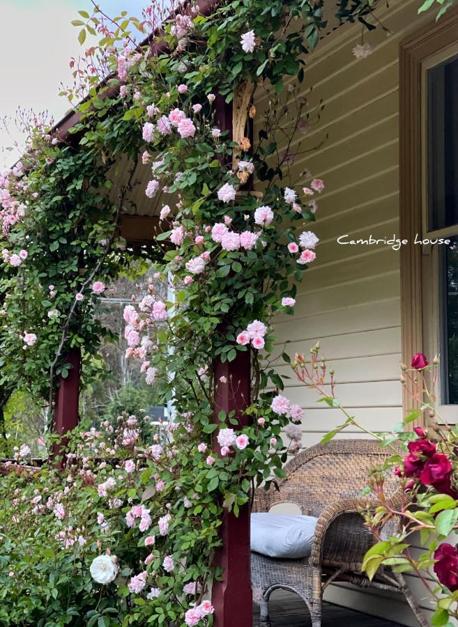 ケンブリッジ ハウス B&B Geeveston エクステリア 写真