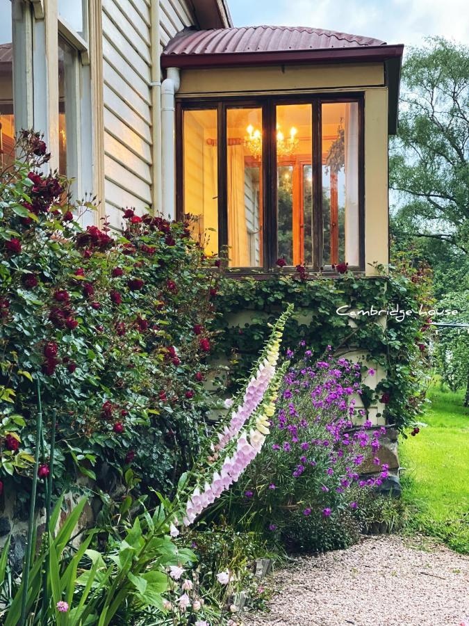 ケンブリッジ ハウス B&B Geeveston エクステリア 写真