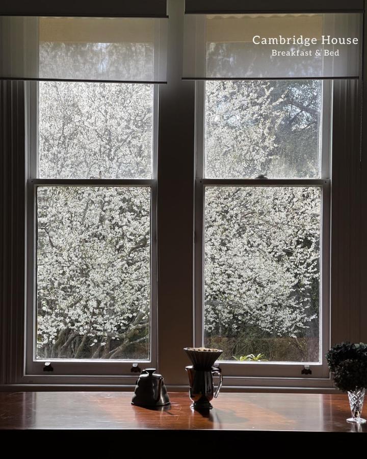 ケンブリッジ ハウス B&B Geeveston エクステリア 写真