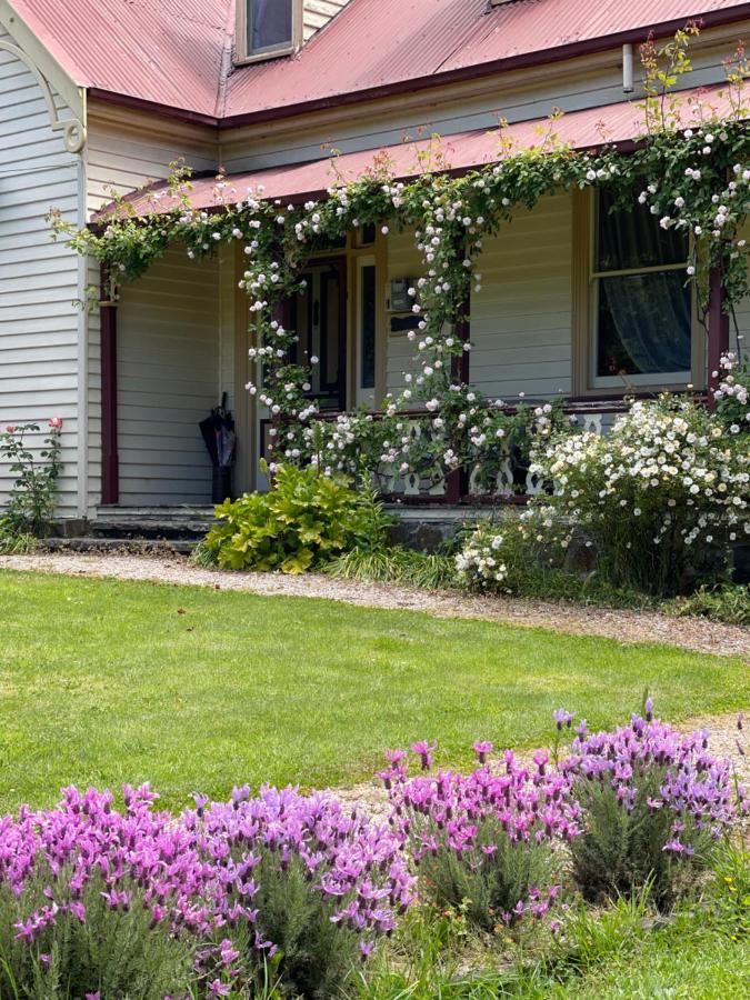 ケンブリッジ ハウス B&B Geeveston エクステリア 写真
