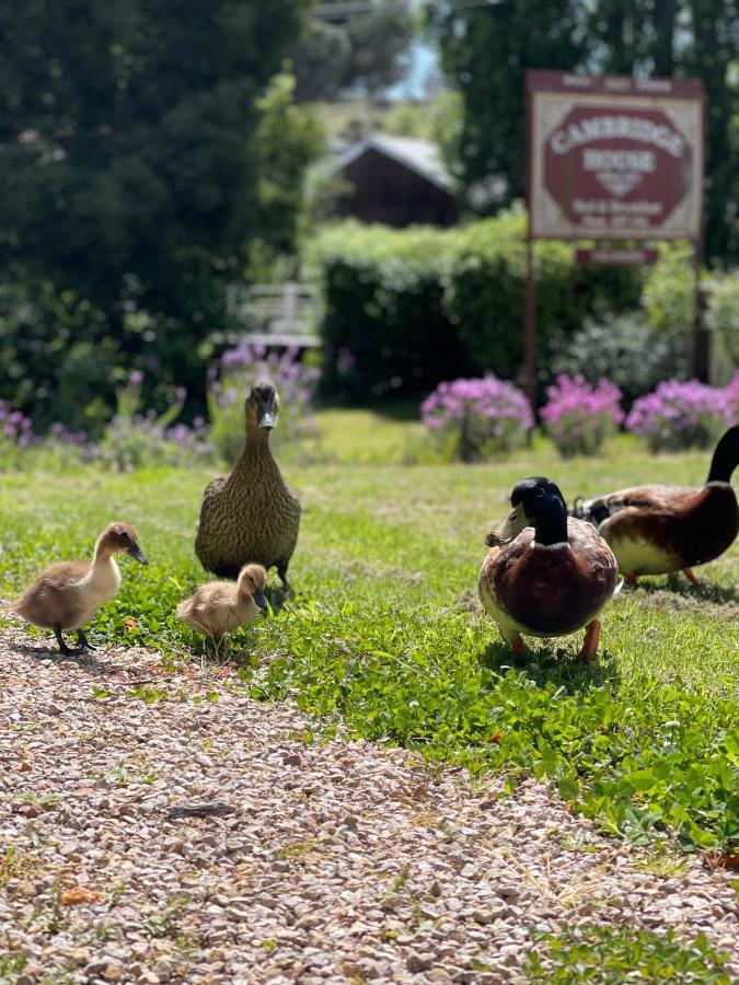 ケンブリッジ ハウス B&B Geeveston エクステリア 写真