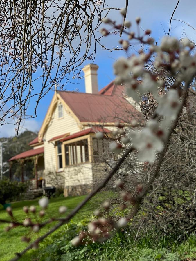 ケンブリッジ ハウス B&B Geeveston エクステリア 写真