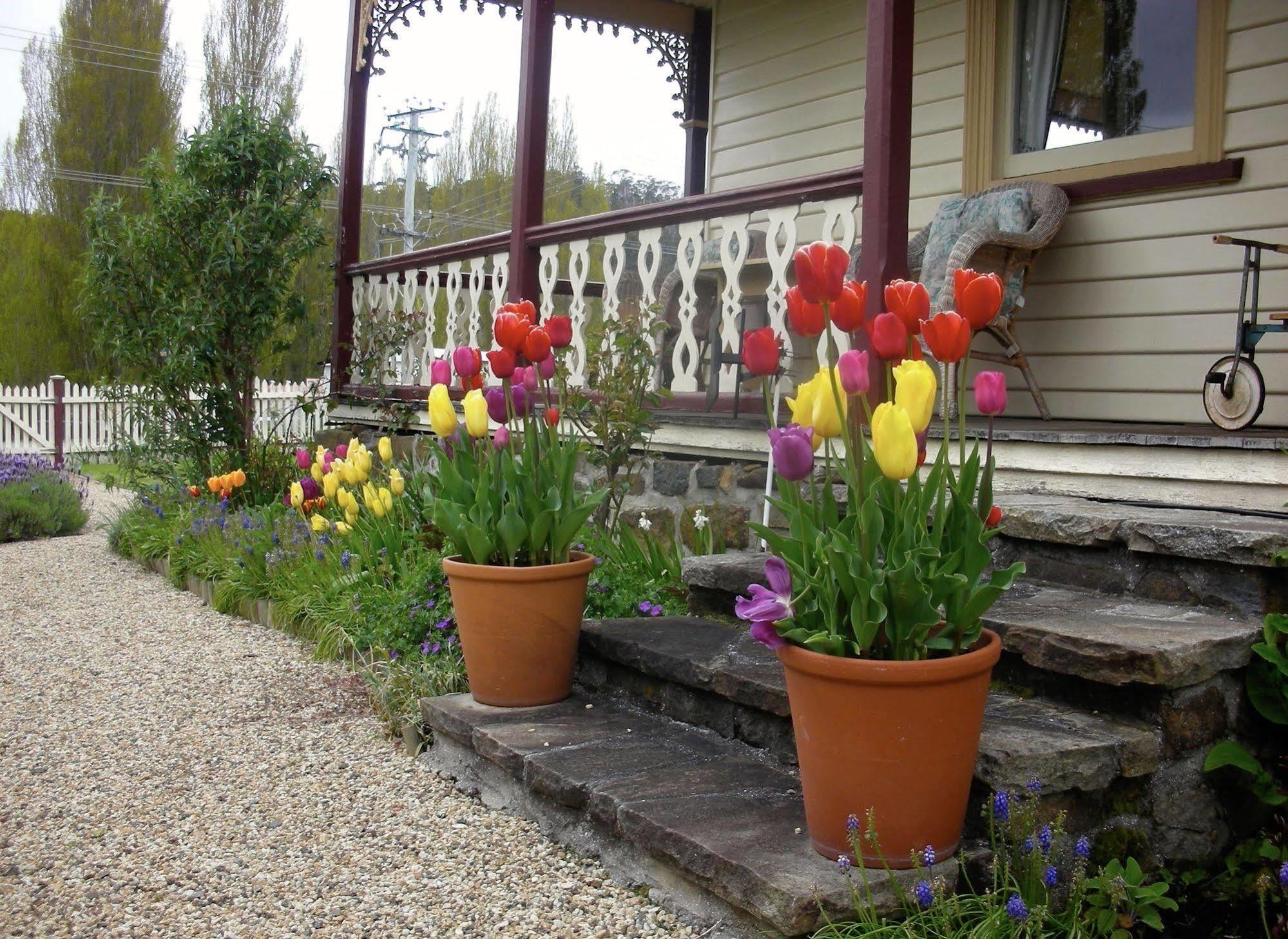 ケンブリッジ ハウス B&B Geeveston エクステリア 写真